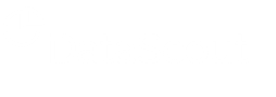 DataScout logo